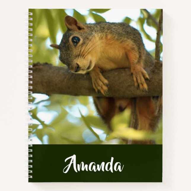 Cuaderno Fotografía de la naturaleza de la ardilla cutánea  (Anverso)