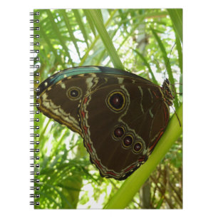 Cuaderno Fotografía de la naturaleza de la mariposa Blue Mo