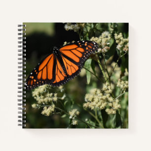 Cuaderno Fotografía de la naturaleza de la mariposa del mon