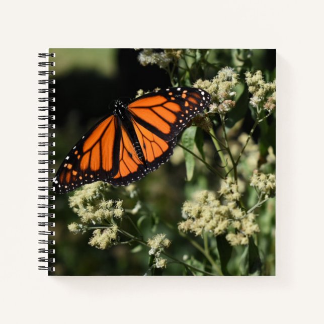 Cuaderno Fotografía de la naturaleza de la mariposa del mon (Anverso)