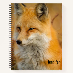 Cuaderno Fotografía de la Naturaleza de la Naturaleza de la
