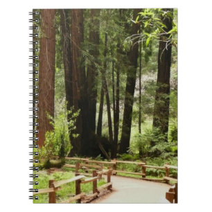 Cuaderno Fotografía de la naturaleza de Muir Woods Path I
