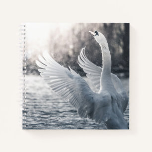 Cuaderno Fotografía de la naturaleza del cisne blanco