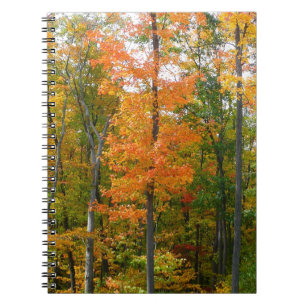 Cuaderno Fotografía de la naturaleza otoñal en árboles de a