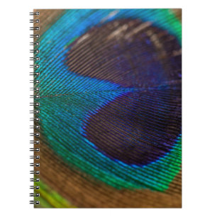 Cuaderno Fotografía de la pluma de pavo real