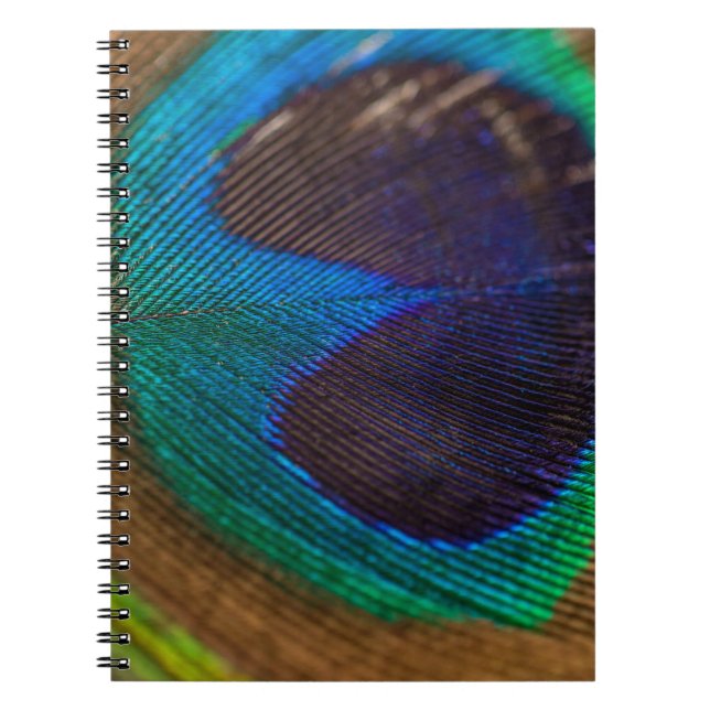 Cuaderno Fotografía de la pluma de pavo real (Frente)