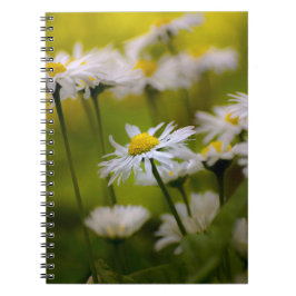 Cuaderno - Fotografía de margaritas