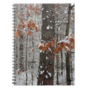 Cuaderno Fotografía de naturaleza invernal de robles cubier