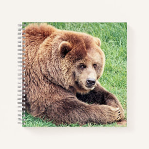 Cuaderno Fotografía de Oso Marrón Cuerdo