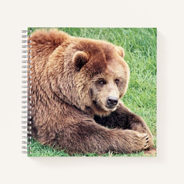Cuaderno Fotografía de Oso Marrón Cuerdo (Anverso)