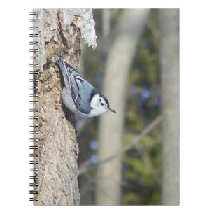 Cuaderno Fotografía de pájaro gris