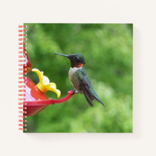 Cuaderno Fotografía de pájaro húmedo con trompetas de rubí