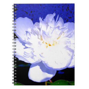 Cuaderno Fotografía de personas blancas y moradas