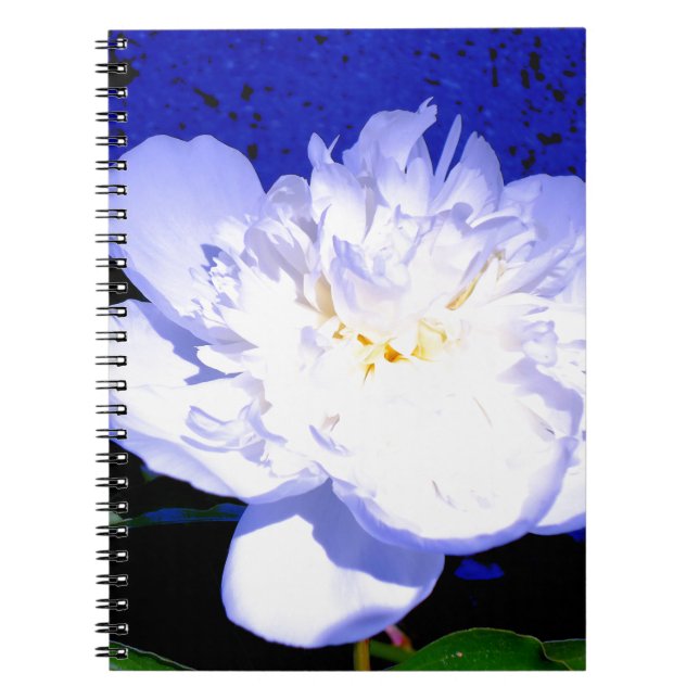 Cuaderno Fotografía de personas blancas y moradas (Frente)