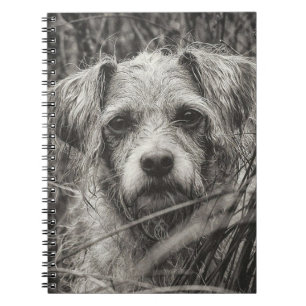 Cuaderno Fotografía de retrato blanco y negro de cachorro s
