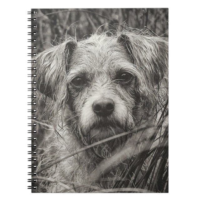 Cuaderno Fotografía de retrato blanco y negro de cachorro s (Frente)