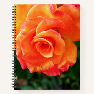 Cuaderno Fotografía de rosa naranja vibrante
