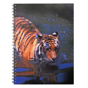 CUADERNO FOTOGRAFÍA DE SHALLOW FOCUS DE TIGRE MARRÓN Y NE