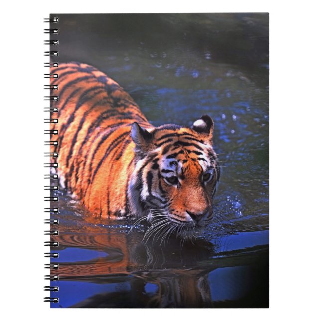 CUADERNO FOTOGRAFÍA DE SHALLOW FOCUS DE TIGRE MARRÓN Y NEGR (Frente)