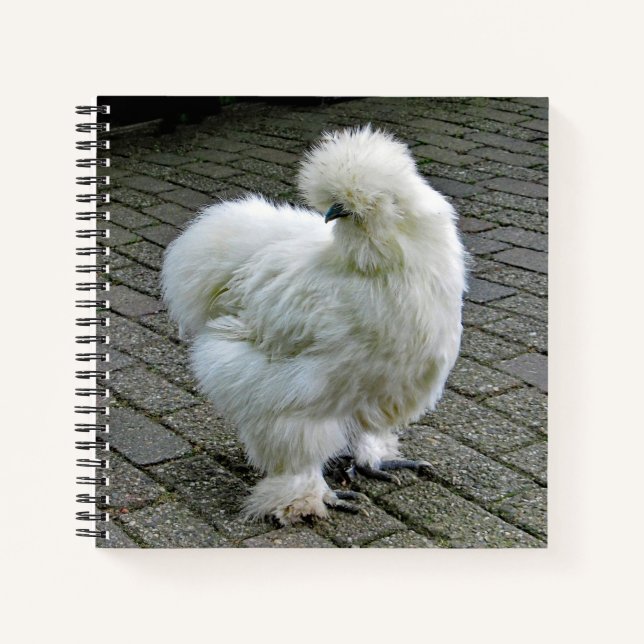 Cuaderno Fotografía de Silkie Blanco Pollo (Anverso)