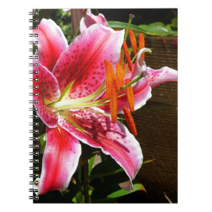 Cuaderno Fotografía de Stargazer Lily
