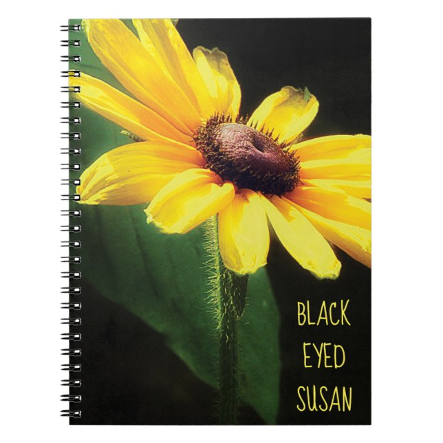 Cuaderno Fotografía de Susan Ojo Negro Amarillo (Frente)