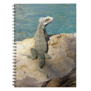Cuaderno Fotografía de vida salvaje tropical de Iguana en S