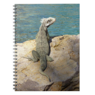 Cuaderno Fotografía de vida salvaje tropical de Iguana en S