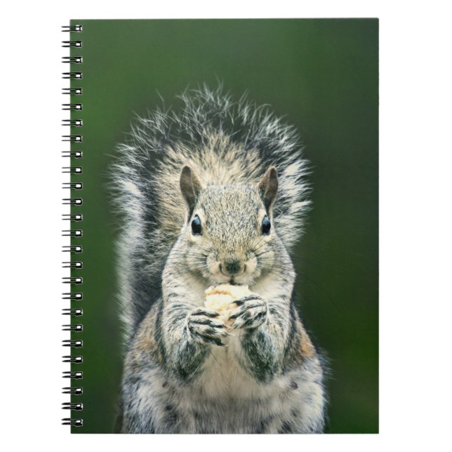 Cuaderno Fotografía de Vida Silvestre Cute Squirrel (Frente)