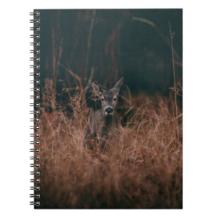 CUADERNO FOTOGRAFÍA DE WILDLIFE DE CERVEZA GRIS RODEADA POR