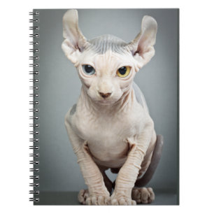 Cuaderno Fotografía del gato de la esfinge del duende