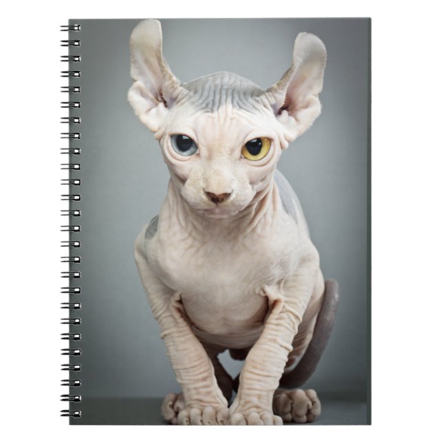 Cuaderno Fotografía del gato de la esfinge del duende (Frente)