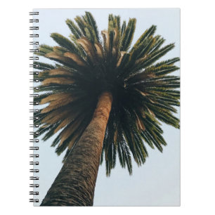 Cuaderno Fotografía del ojo de gusano de la palmera