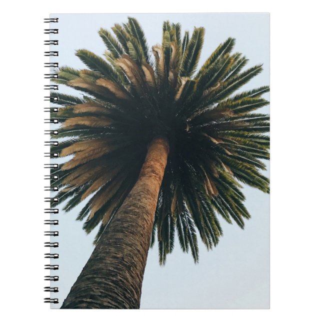 Cuaderno Fotografía del ojo de gusano de la palmera (Frente)