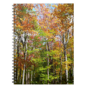 Cuaderno Fotografía del paisaje otoñal del bosque otoñal II