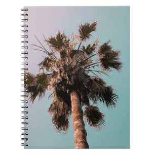 Cuaderno Fotografía en ángulo bajo de la planta de palma