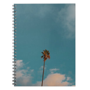 Cuaderno Fotografía en ángulo bajo de palmera bajo cielo az
