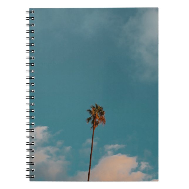 Cuaderno Fotografía en ángulo bajo de palmera bajo cielo az (Frente)