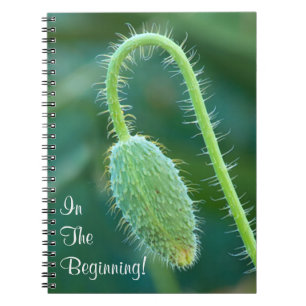 Cuaderno Fotografía en curso del primer del brote de la