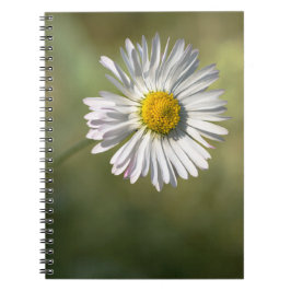 Cuaderno - Fotografía Floral de Margarita