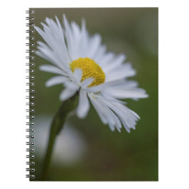 Cuaderno - Fotografía Floral de Margarita