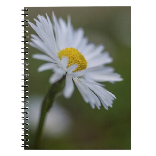 Cuaderno - Fotografía Floral de Margarita (Frente)