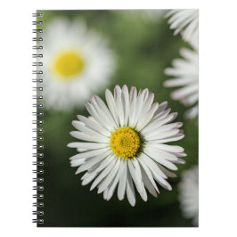 Cuaderno - Fotografía Floral de Margaritas