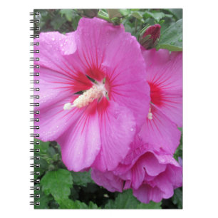 Cuaderno Fotografía floral rosa
