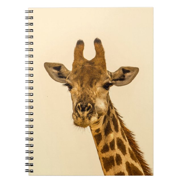 CUADERNO FOTOGRAFÍA FOTOGRÁFICA SELECTIVA DE GIRAFFE (Frente)