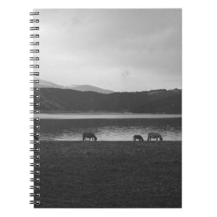 CUADERNO FOTOGRAFÍA GRIS ESCALA DE ANIMALES