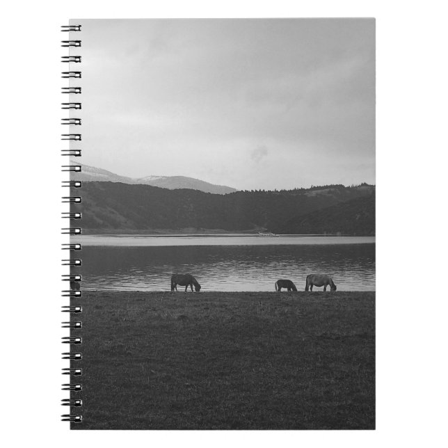 CUADERNO FOTOGRAFÍA GRIS ESCALA DE ANIMALES (Frente)