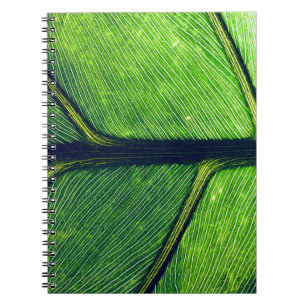 Cuaderno Fotografía macro de hoja verde