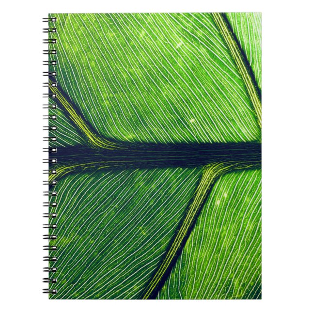 Cuaderno Fotografía macro de hoja verde (Frente)