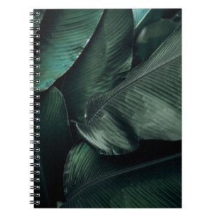 CUADERNO FOTOGRAFÍA MACRO DE HOJAS VERDES